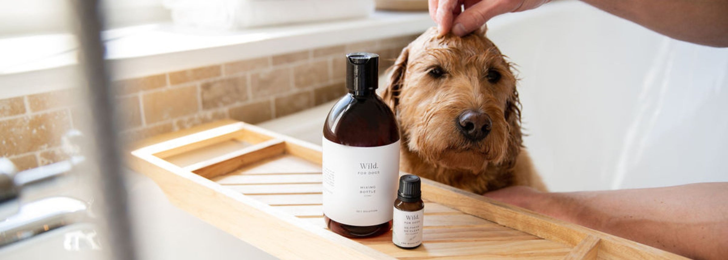 Natural_Organic_Best_Highest_Quality_Shampoo_Conditioner_Fragrance_Detangler_Balm_Dogs_UK_Sensitive_Skin