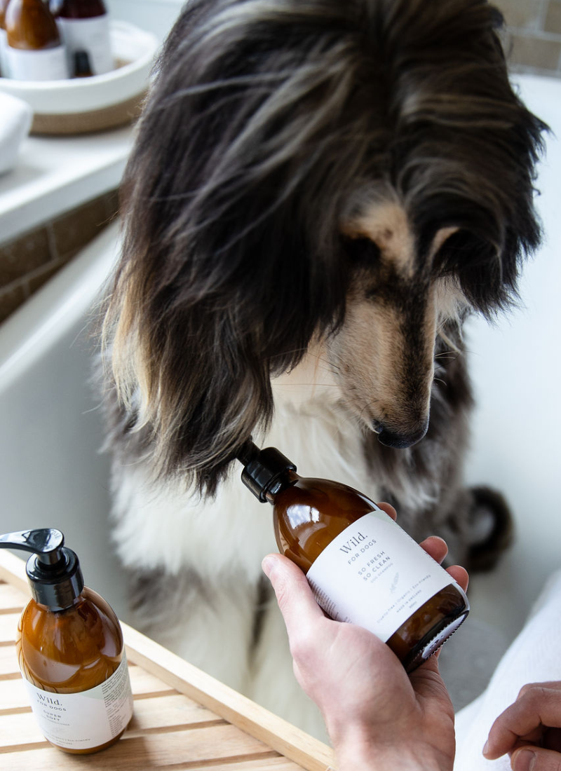 The Organic Grooming Duo