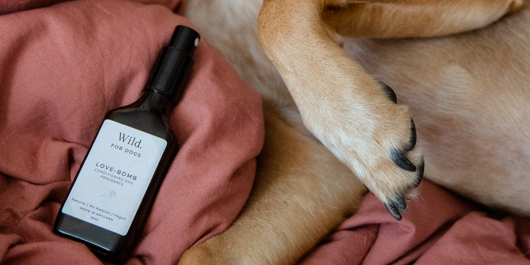 Love-Bomb Natural Dog Fragrance Perfume Scent Shine Spray