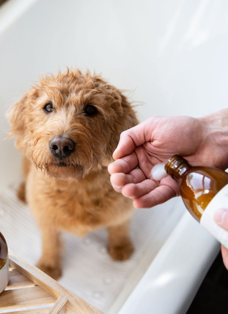 The Organic Grooming Duo