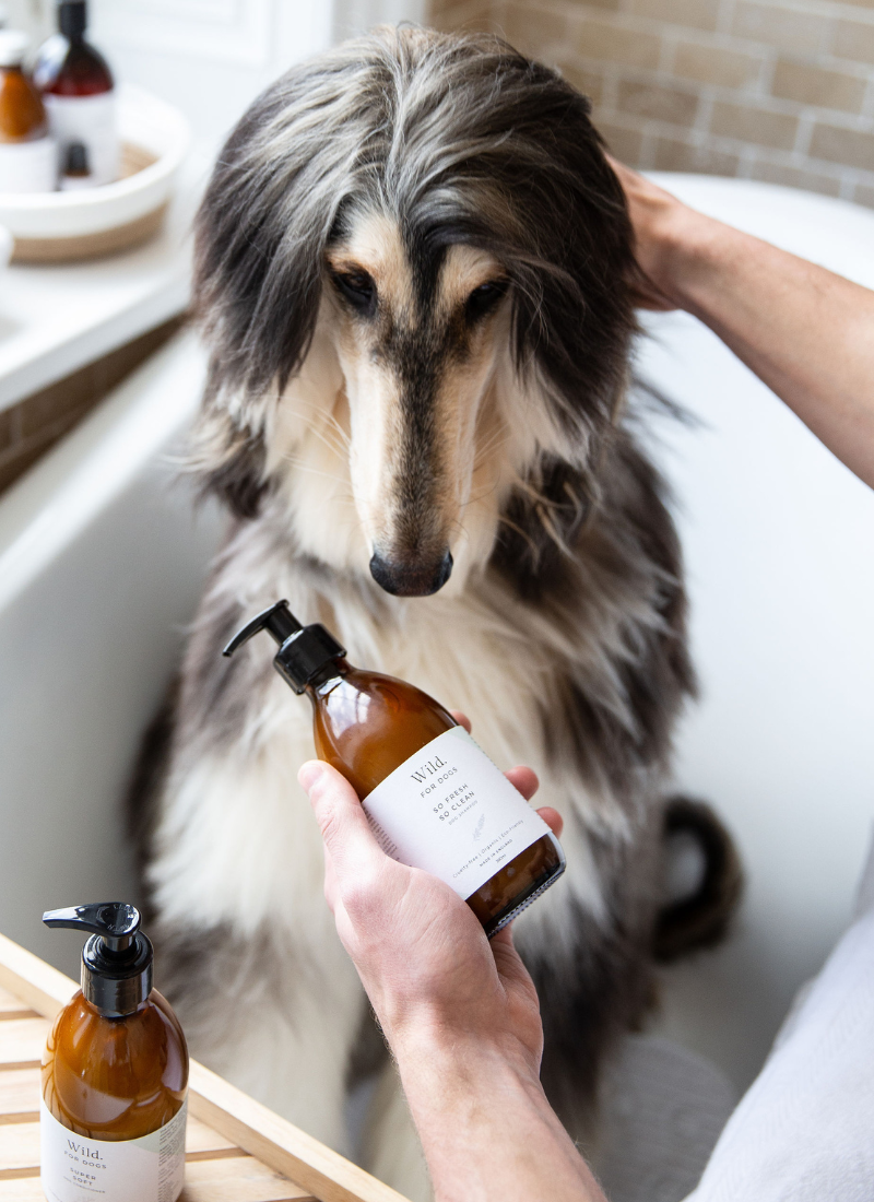 So Fresh So Clean Organic Dog Puppy Shampoo Wild For Dogs