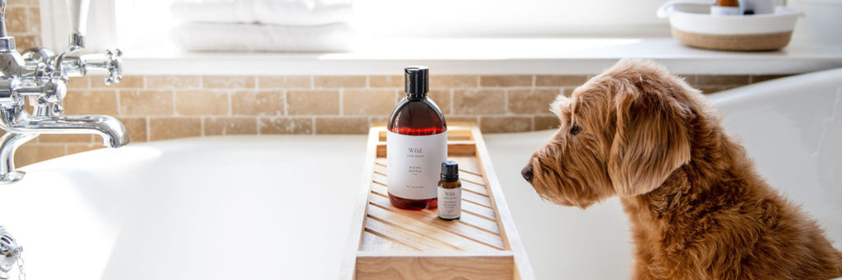 best-quality-grooming-products-england-shampoo-fragrance-conditioner-dog-natural-organic