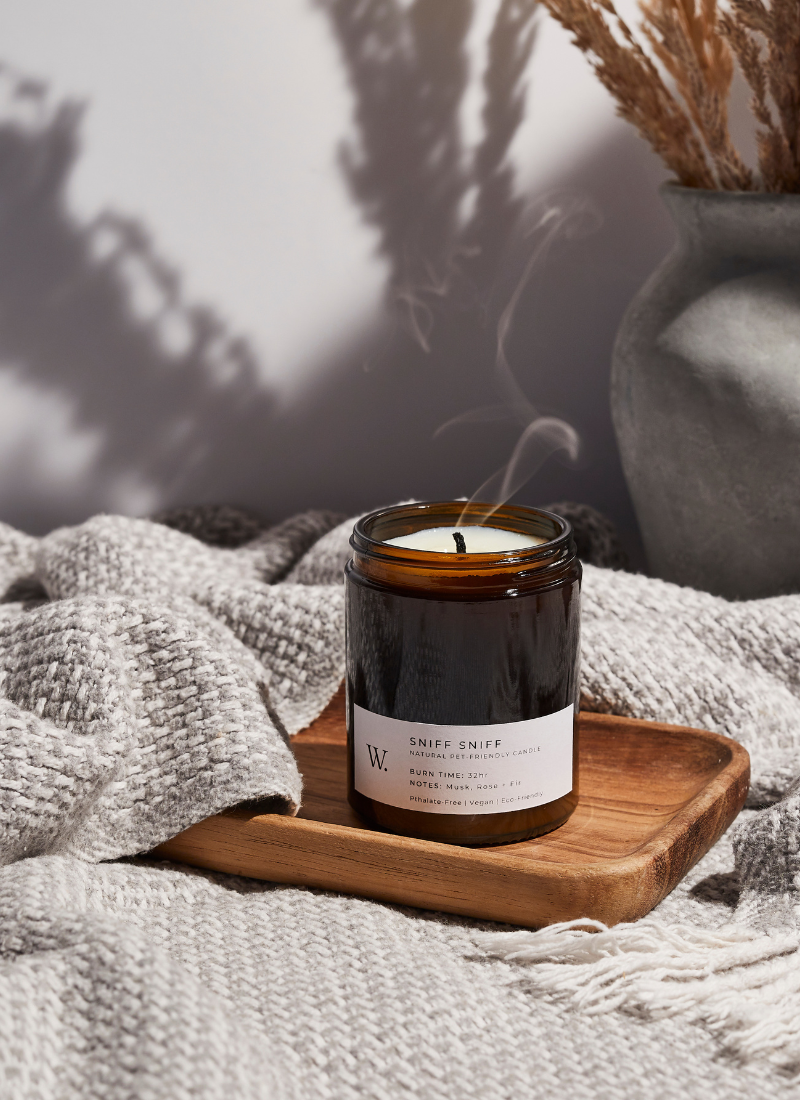 Fireside Fun - Pet-Friendly Candle