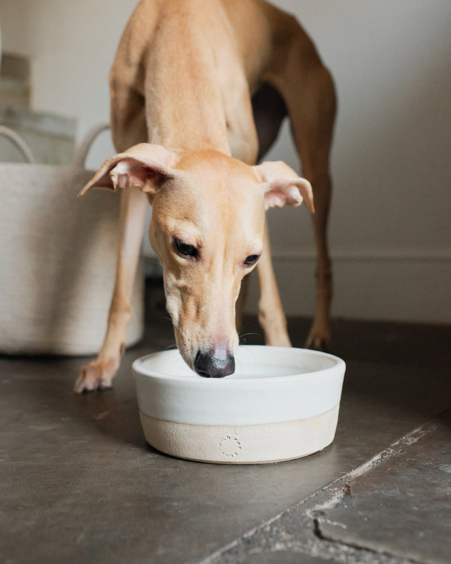 Handthrown handcrafted ceramic luxury stylish dog bowl food water