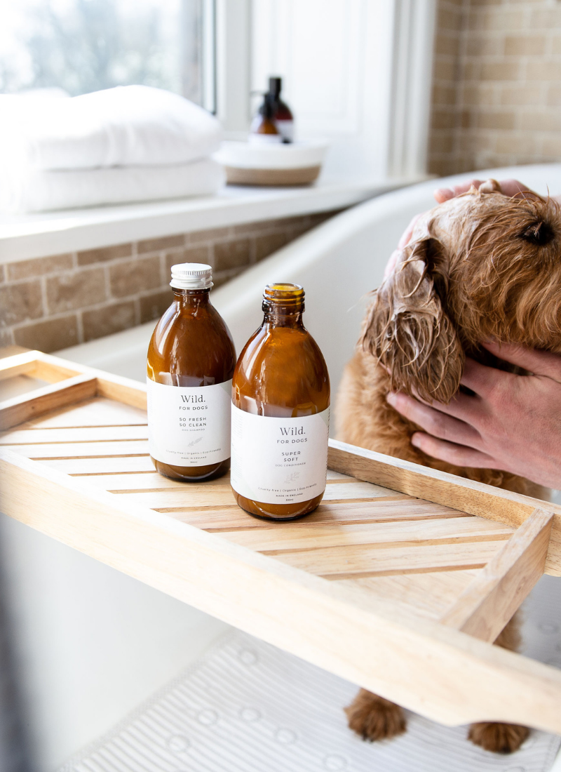 Fresh and online clean dog shampoo