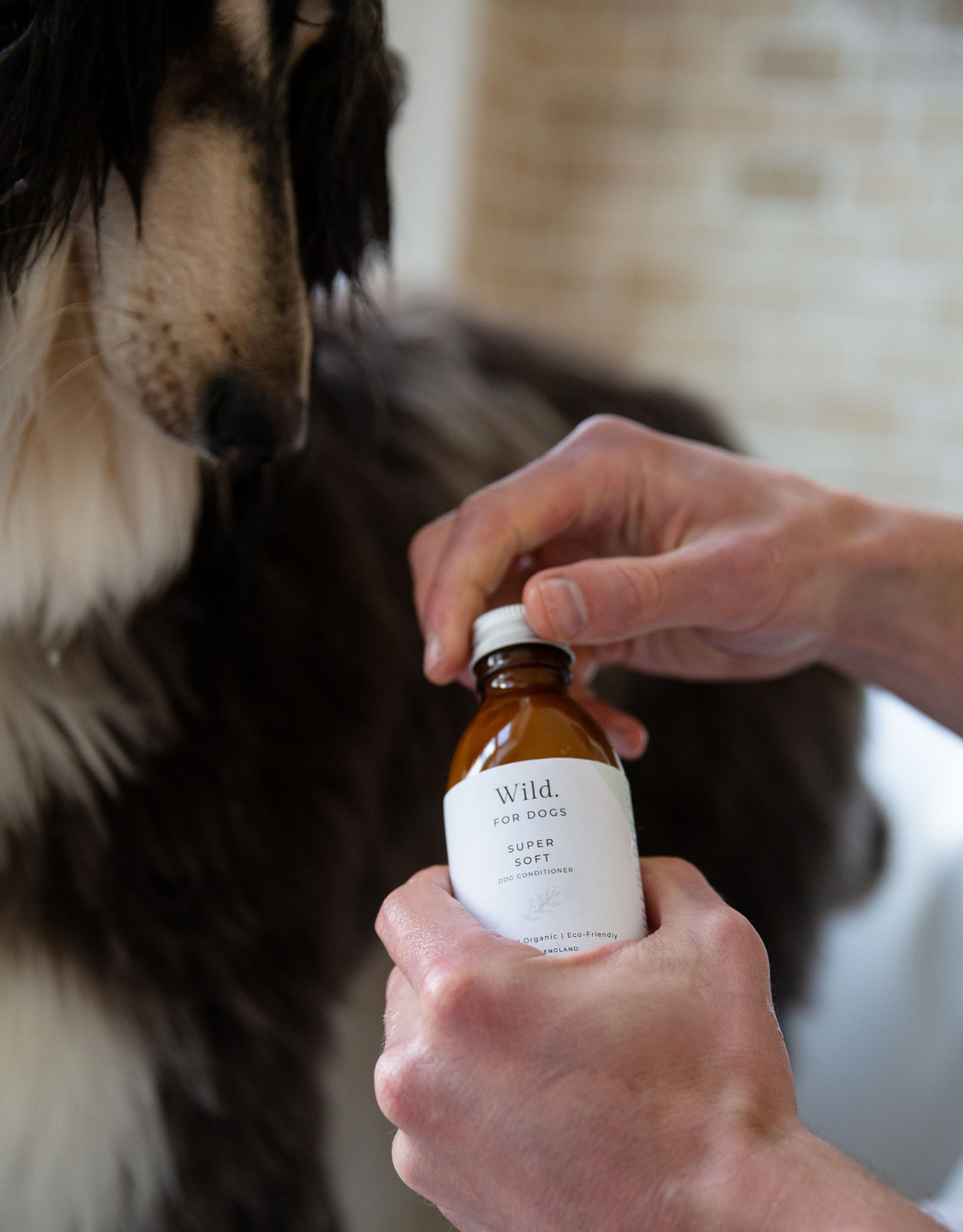 Best dog conditioner for long hair best sale