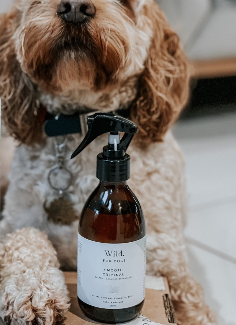 Smooth Criminal Calming Leave in Detangler Wild For Dogs