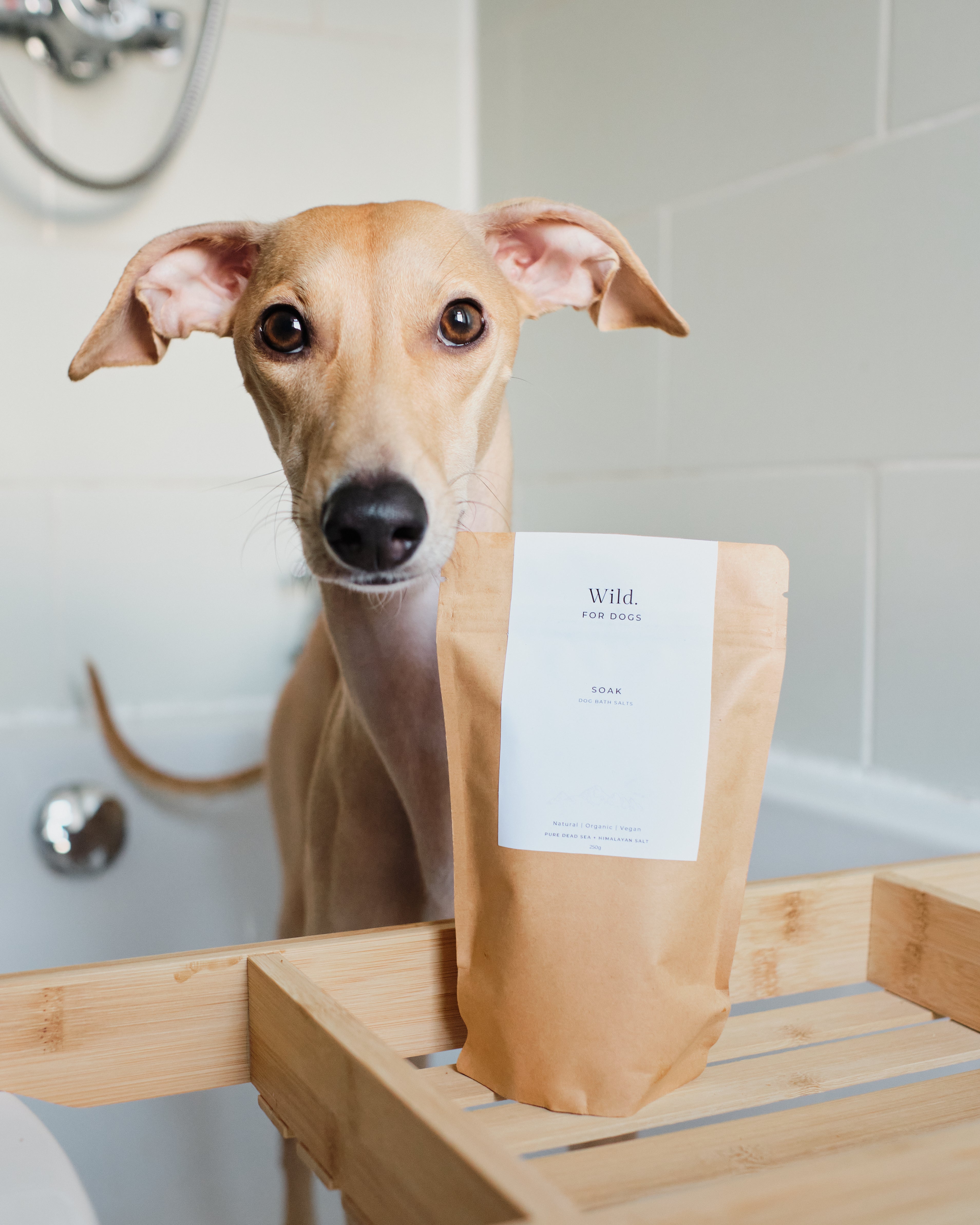 Sea salt bath cheap for dogs